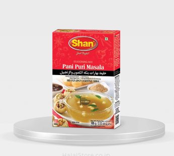 Shan Pani Puri Masala Mix – 100g